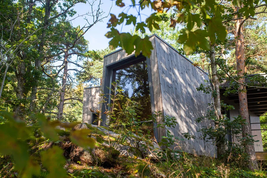 Foto av friluftssykehuset og skogen rundt.